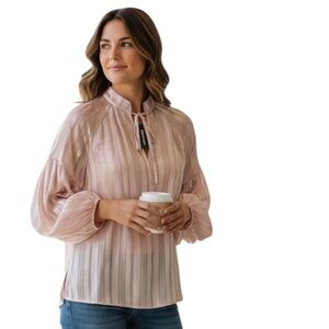 Express Blush Sheer Striped Tie Neck Long Sleeve Blouse Size M NWT